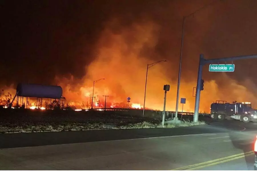 На Гавайях объявлен режим масштабного бедствия из-за лесных пожаров и гибели 53 человек