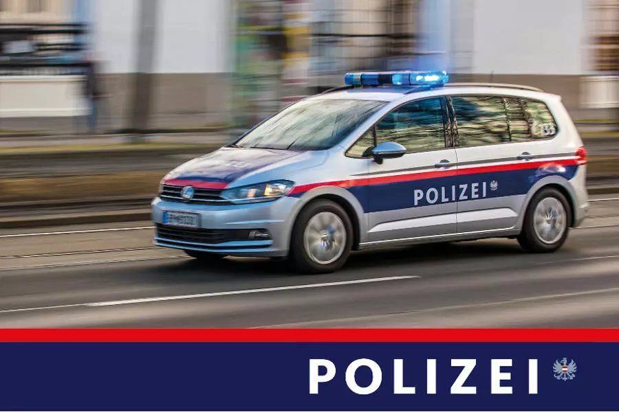 Полиция Австрии поймала иностранца, разыскиваемого за изнасилование в Летне