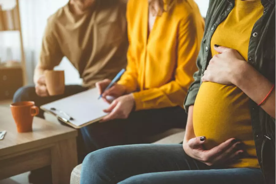 Правительство Чехии обсуждает вопрос об узаконенности суррогатного материнства