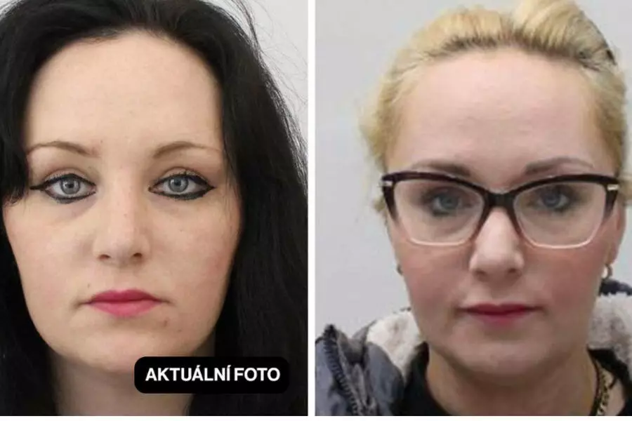Полиция разыскивает агрессивную женщину, сбежавшую из психбольницы Богнице в Праге