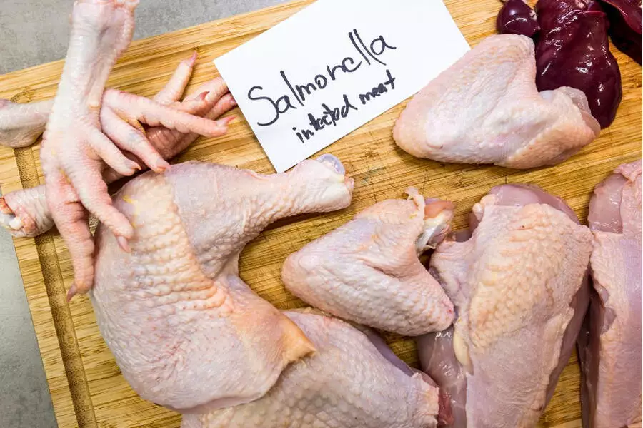 Госагропроднадзор предупредил о зараженной сальмонеллой курице на рынке Чехии