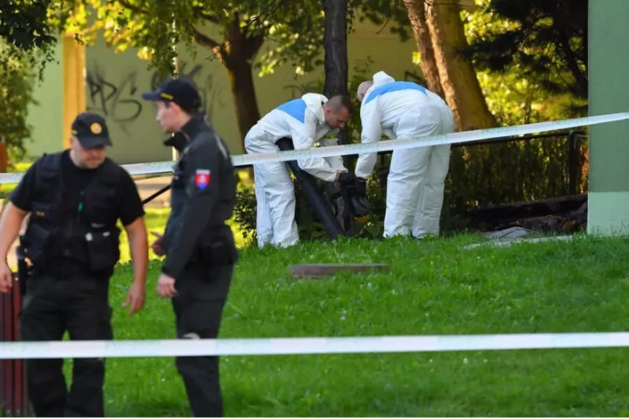 В Братиславе мужчина открыл стрельбу по прохожим, полиция его застрелила