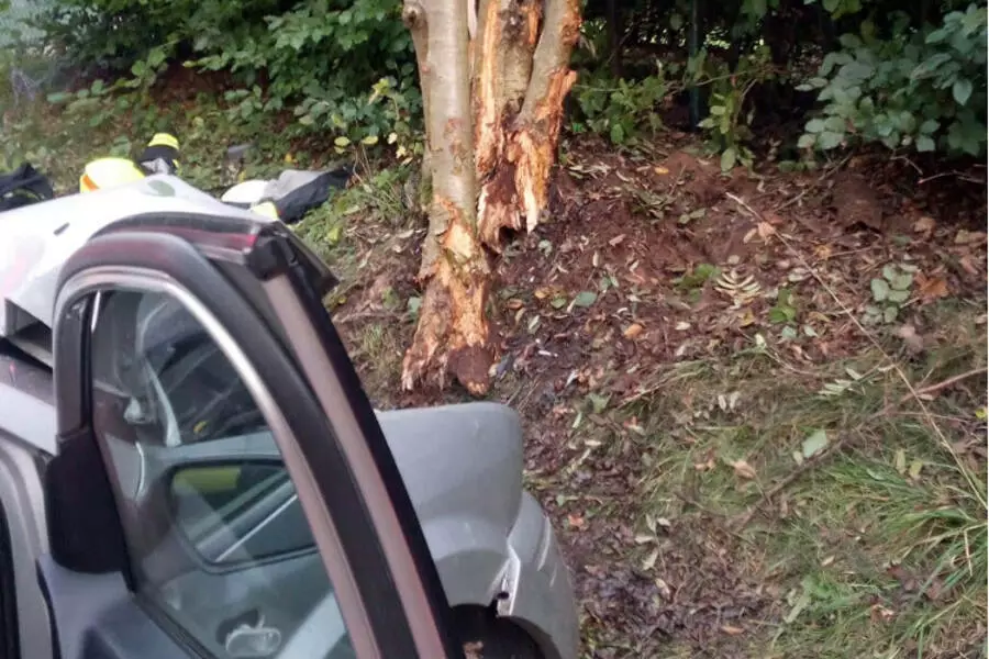 В среду произошло три смертельных столкновения автомобилей с деревьями