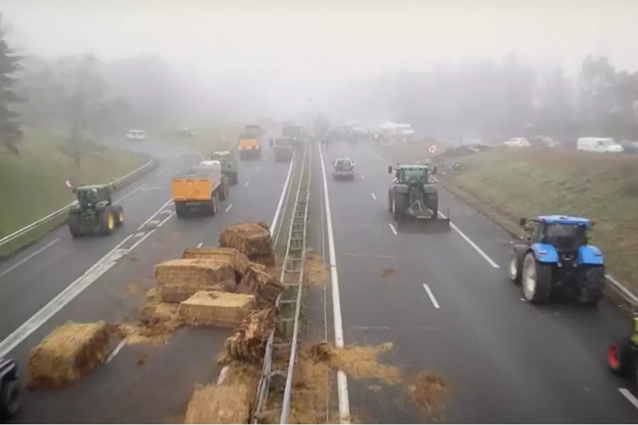 Во время протестов фермеров во Франции был разграблен чешский грузовик с помидорами
