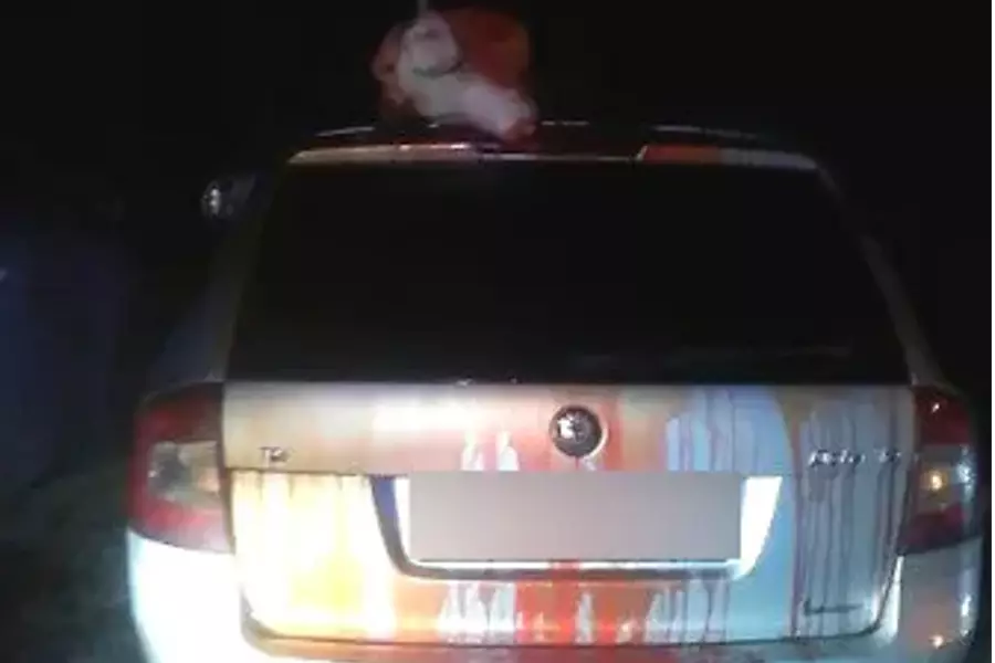 Ночью возле кладбища в Праге полиция нашла автомобиль с головой свиньи на крыше