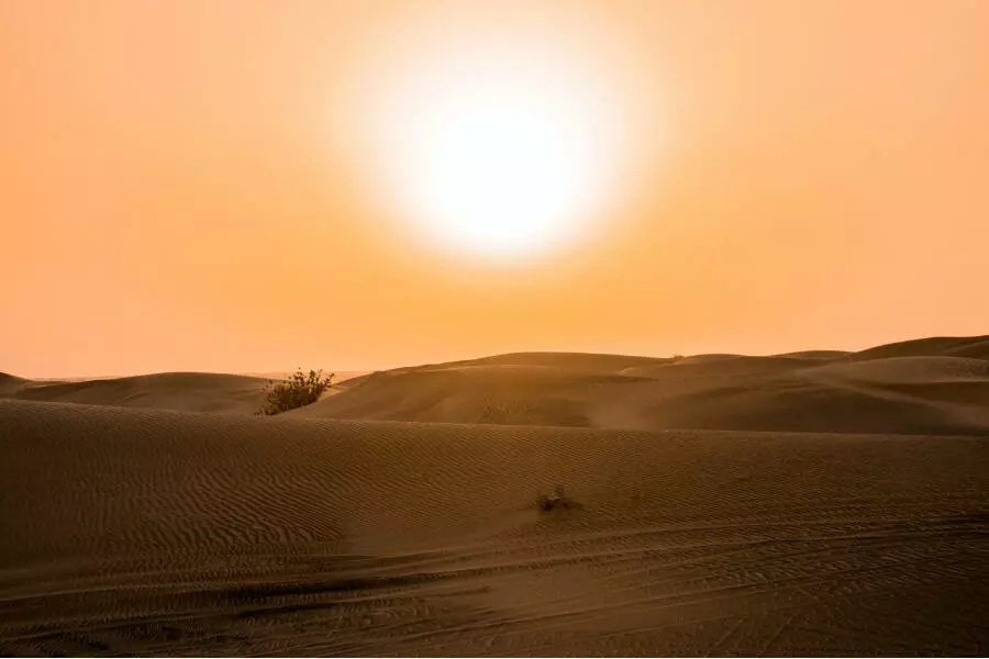 3 июля 2023 года признано самым жарким днем на Земле за всю историю наблюдений