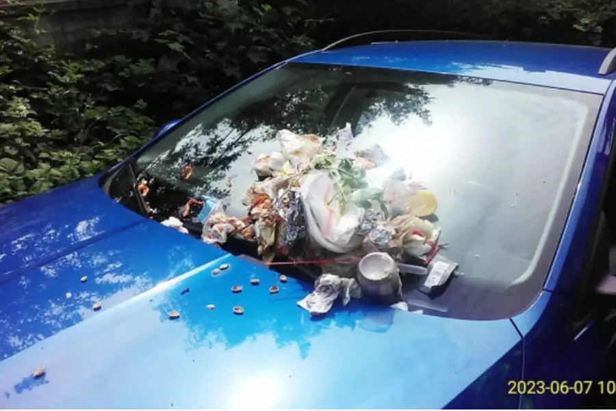 Необычный вызов полицейских: мусор на автомобильном капоте