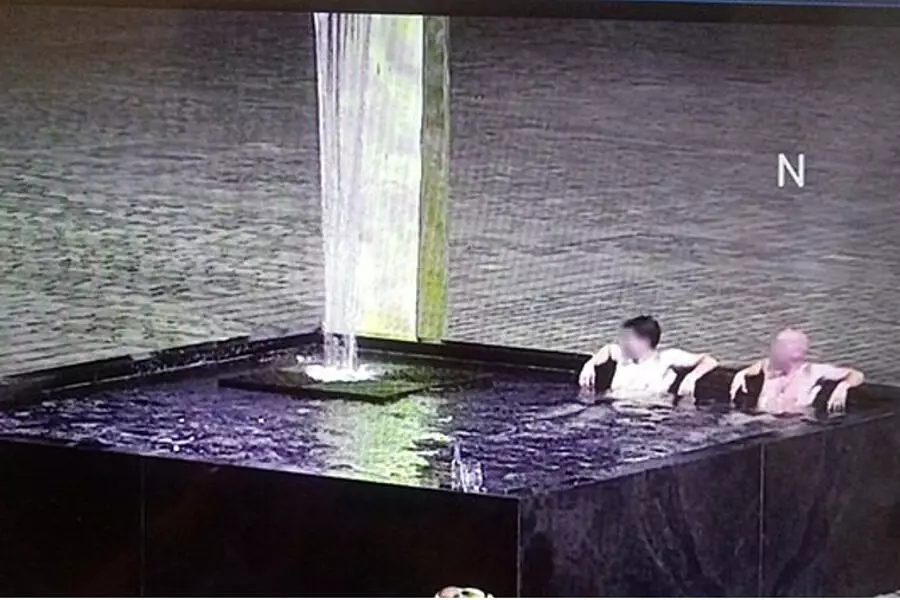 Пьяные иностранцы купались в фонтане в Пльзни