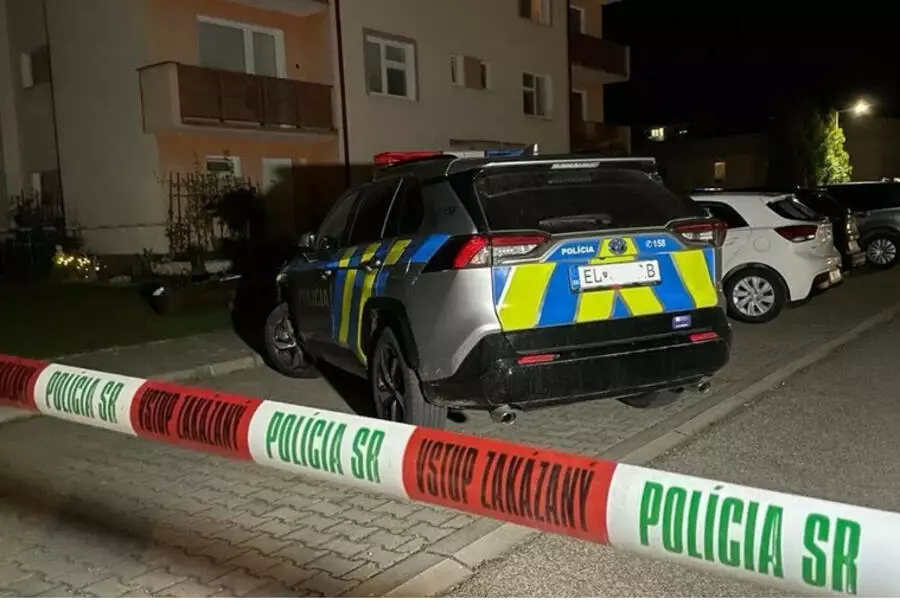 В Словакии мужчину убил случайную женщину на улице во время чистки ружья