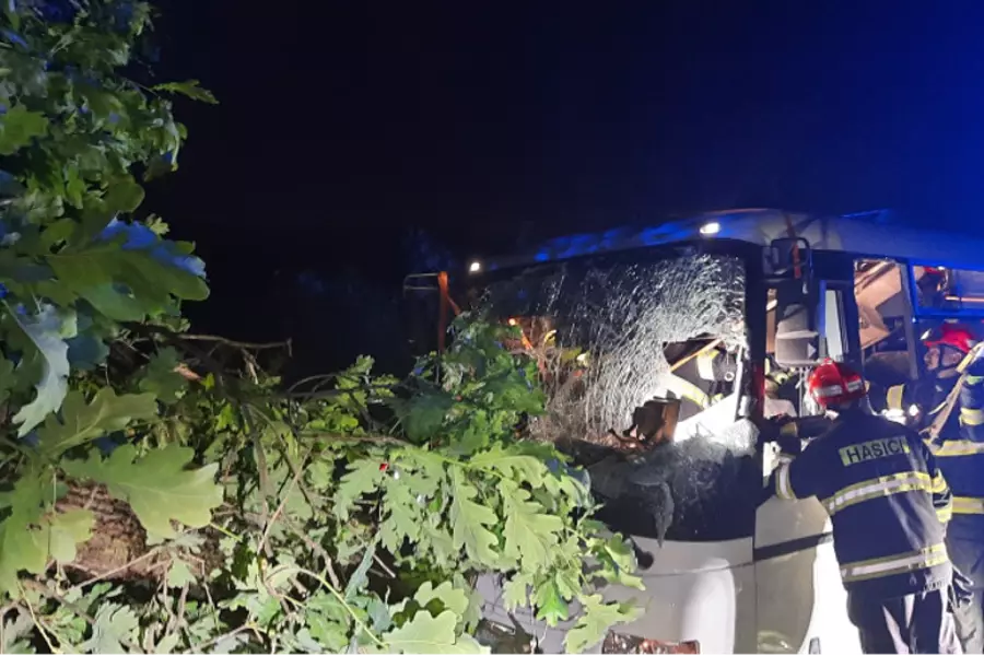 Под Брно упавшее на автобус дерево зажало водителя в кабине
