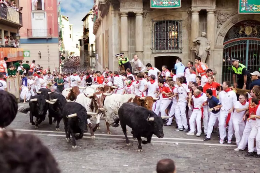 По средневековому испанскому городу Памплона в честь Святого Фермина в очередной раз побегут быки