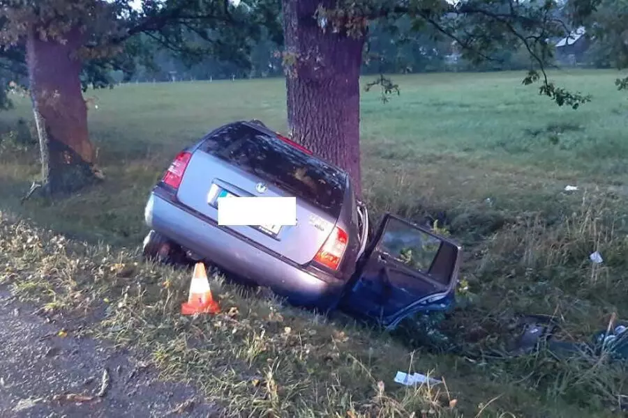 В Ческе-Будеёвице легковушка врезалась в дерево, водитель погиб на месте