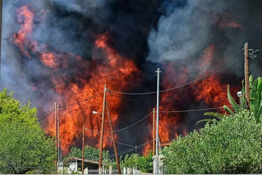 Лесные пожары в Греции бушуют уже неделю, следом идет новая волна жары