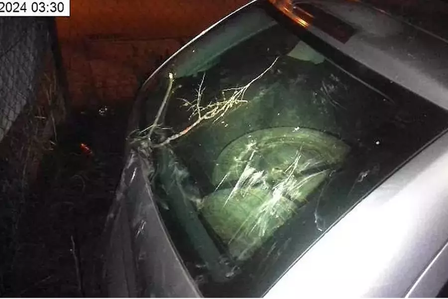 Полиция задержала пьяного парня, прыгавшего по машинам в Брно