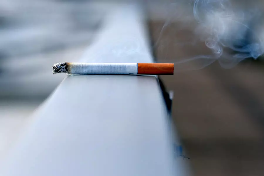 Таможня Чехии задержала группу за незаконное производство сигарет, ущерб в 111 млн крон