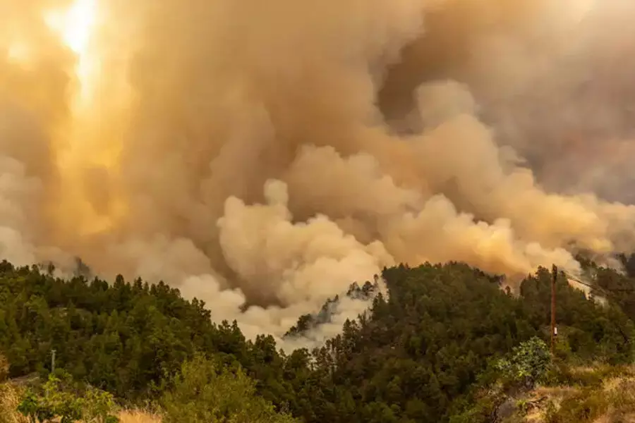 На испанской Ла-Пальме эвакуировали 2000 человек из-за лесного пожара