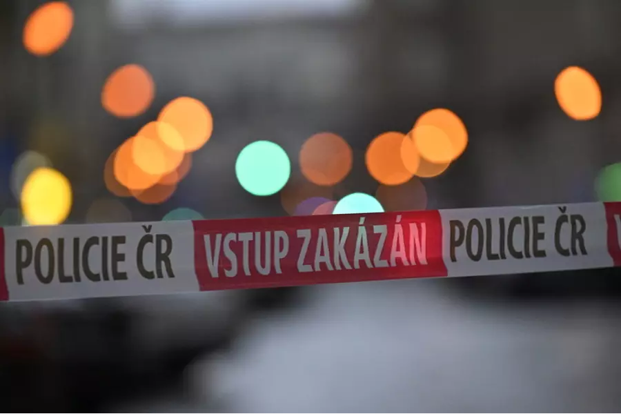 Подозреваемый в нападении на двух человек в Праге признался в убийстве возле пруда