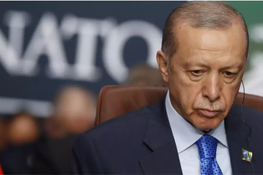 Турция окончательно одобрила вступление Швеции в НАТО
