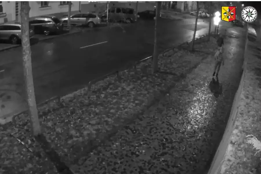 Полиция Праги 6 разыскивает уличного грабителя, попавшего на камеры видеонаблюдения
